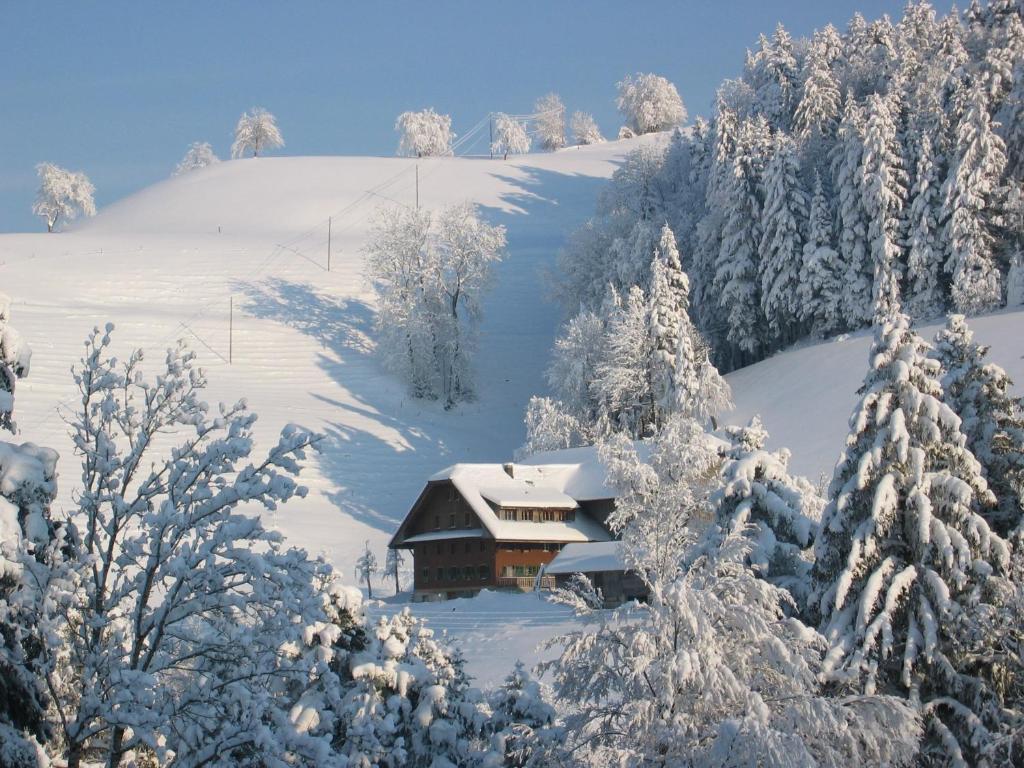 Ober-tiefenbuhl Apartment Hergiswil bei Willisau