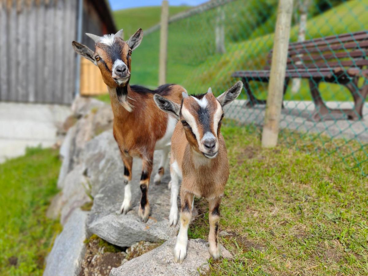 Ober-tiefenbuhl *